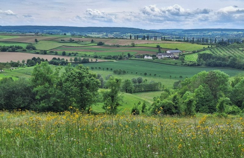 Wandelen zuid limburg dutch mountain trail 4